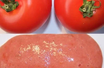 Tomatoes before and after knife milling into a homogenized sample
