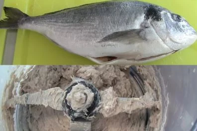 Fish before and after knife milling into a homogenized sample