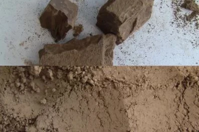 Plant material before and after knife milling into a homogenized sample
