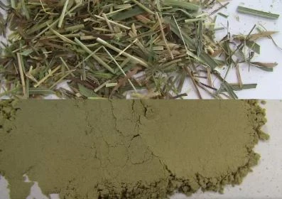 Fibrous dried grass